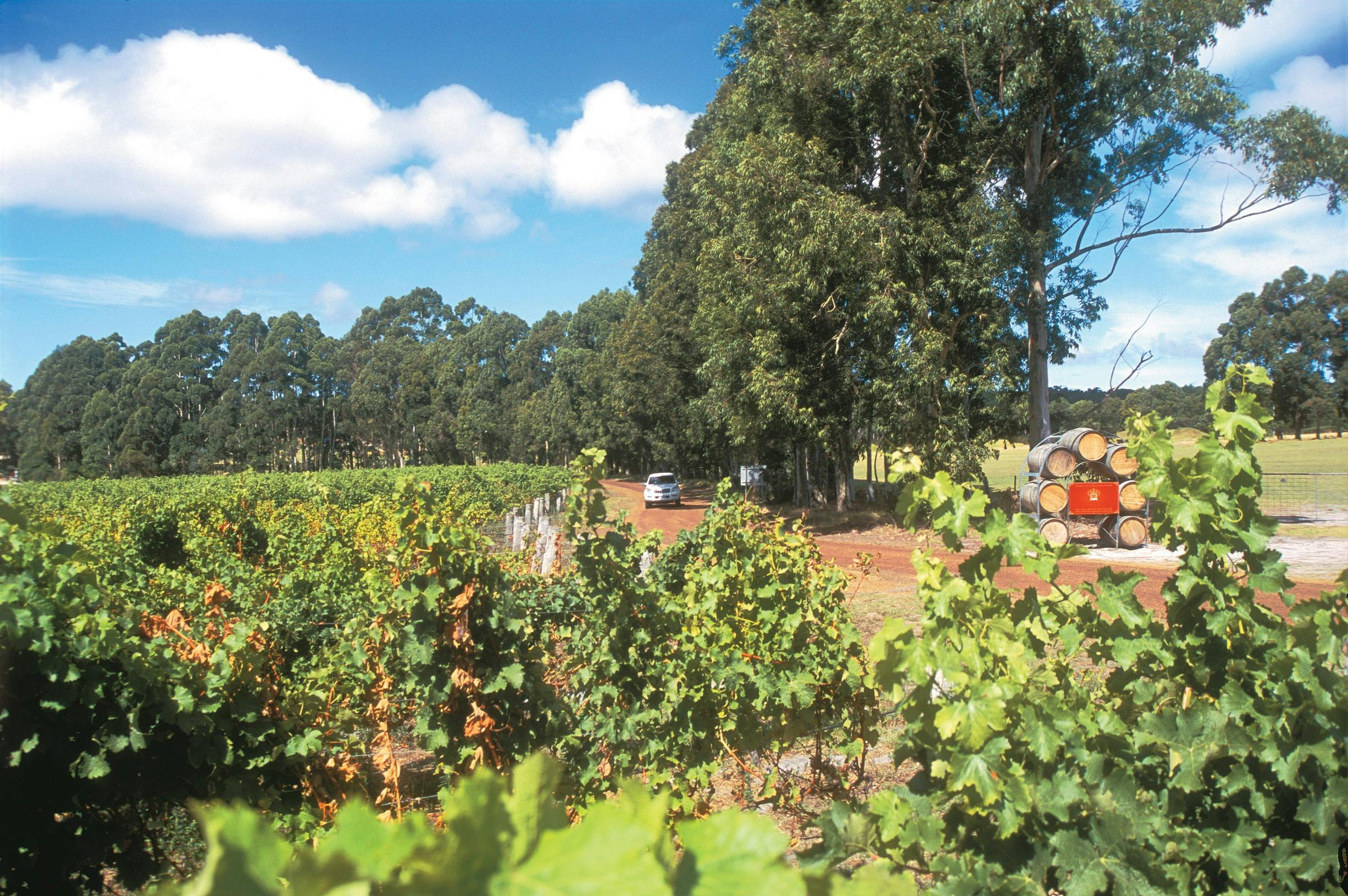 Albany Picnic Provisions Trail, Albany, Western Australia