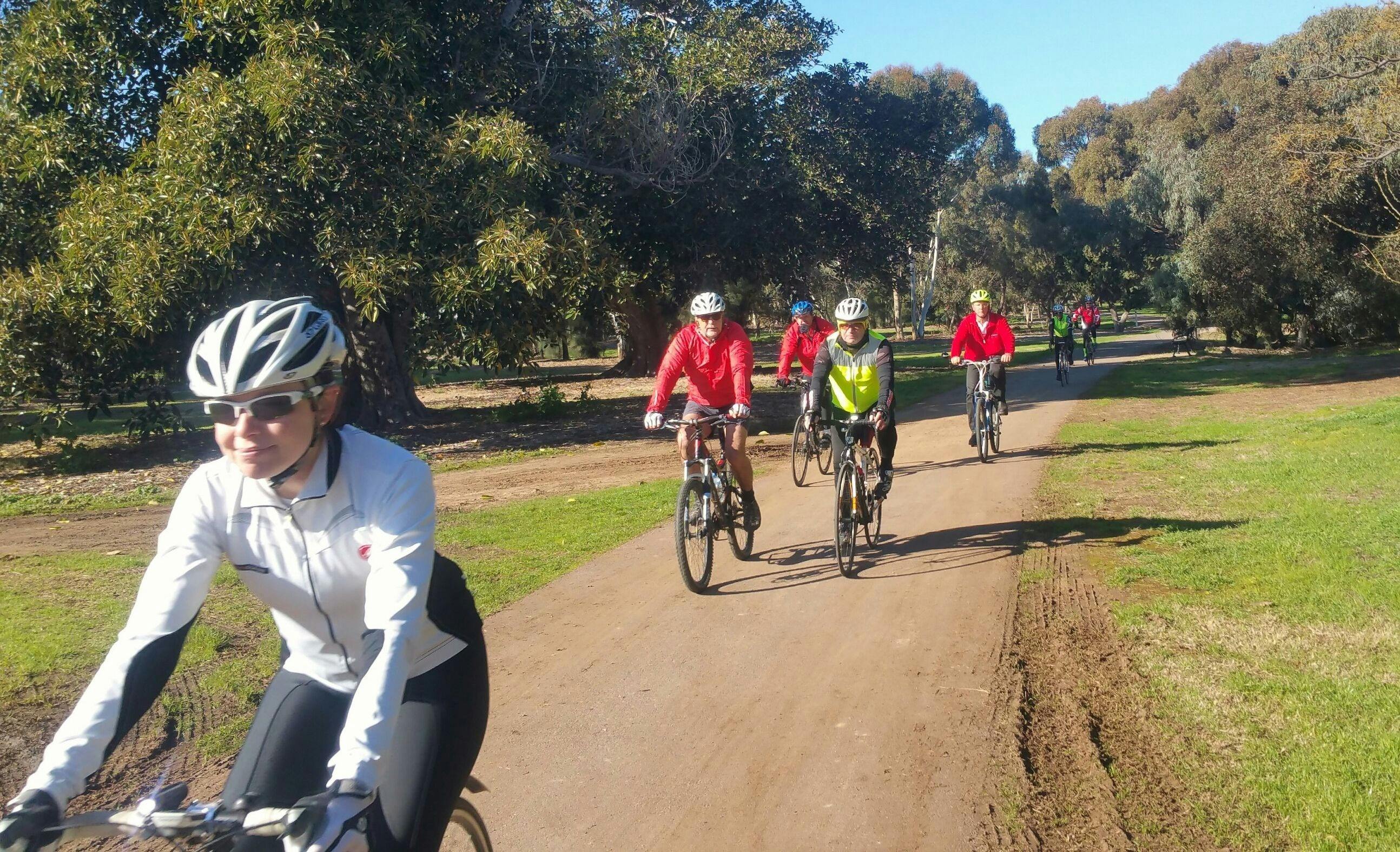 Guided Walk through Ellis Park / Tampawardli (Park 24)