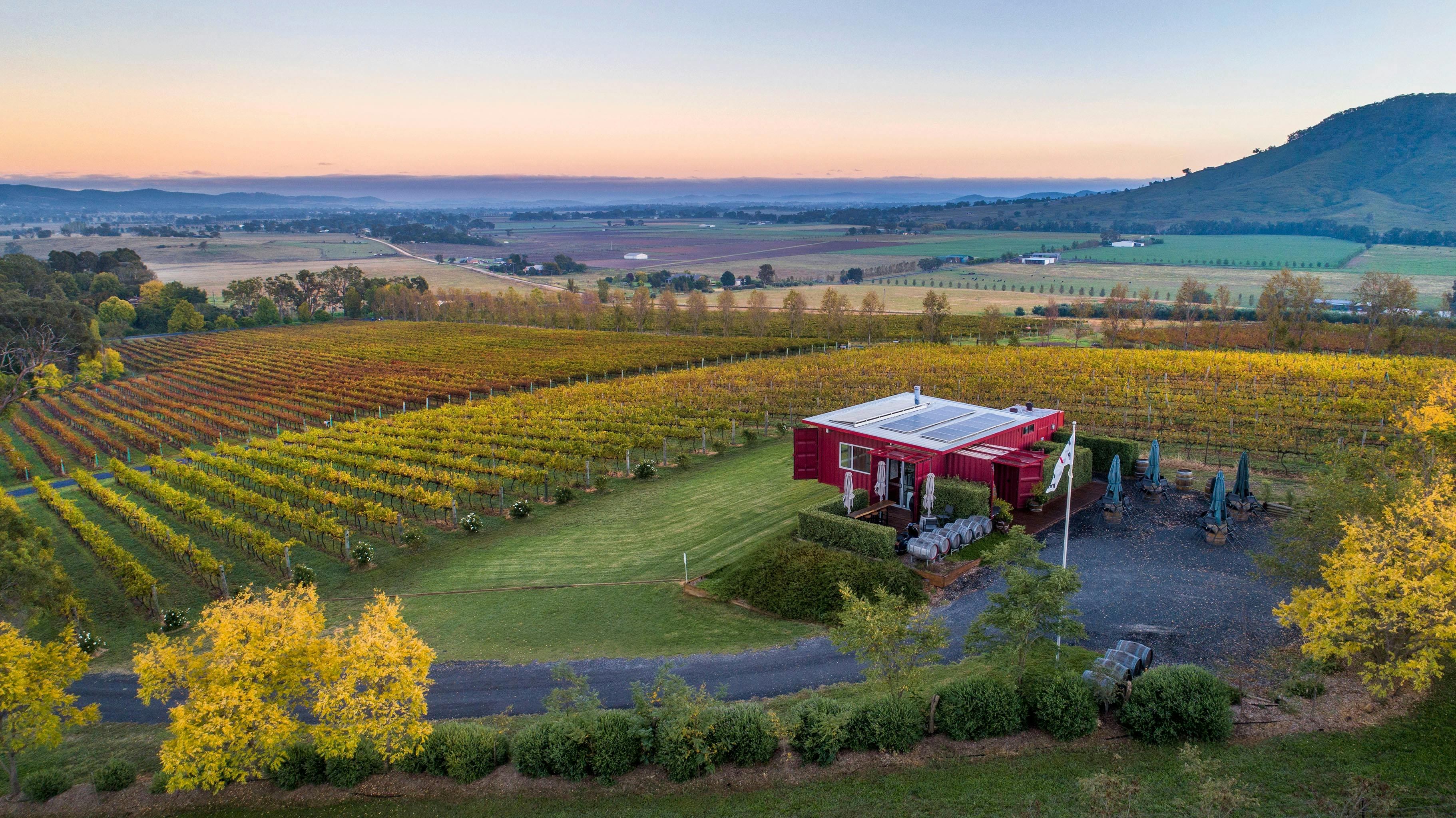 a typical stunning sunset viewed from our cellar door