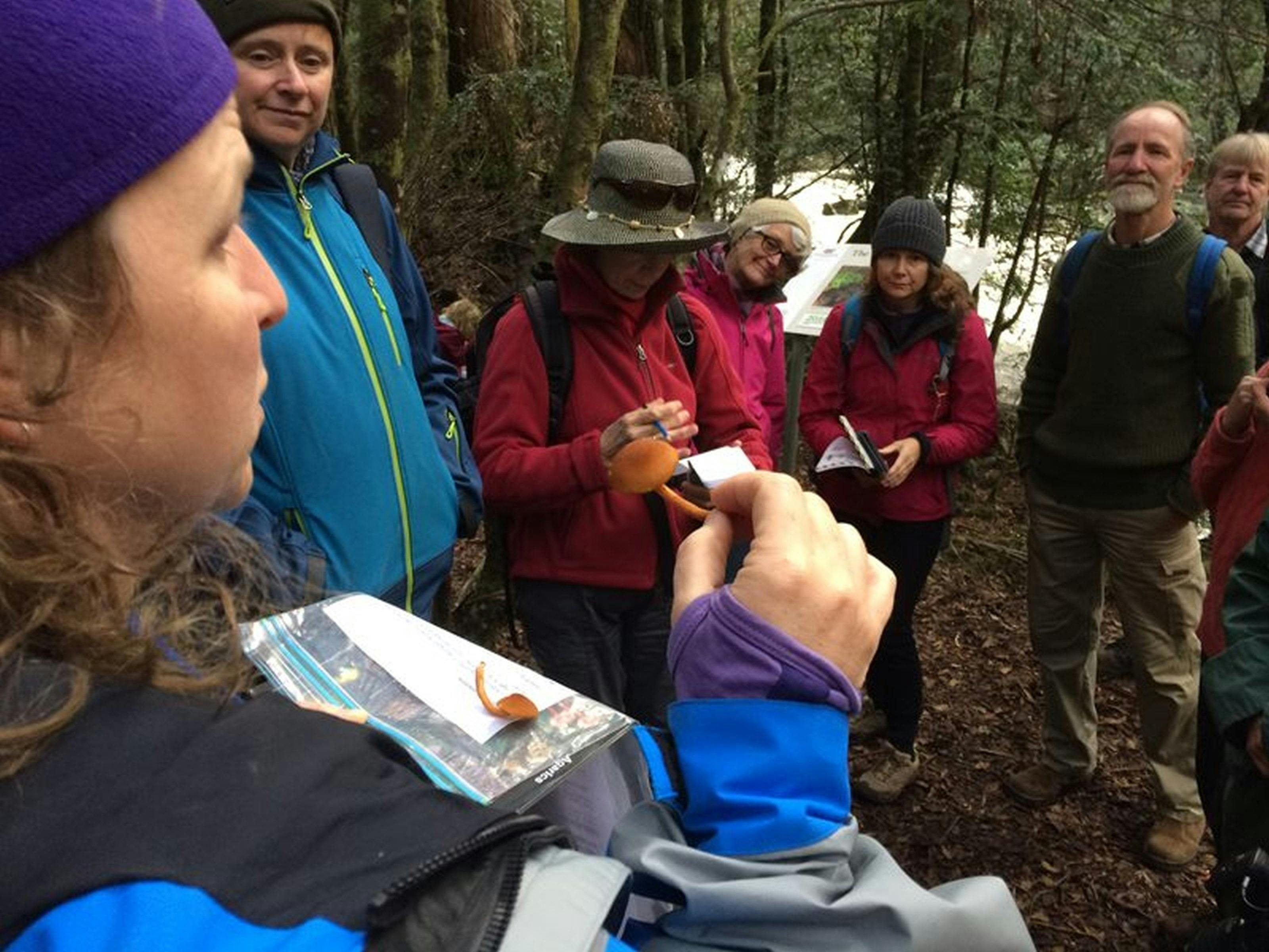 Group on an identification walk
