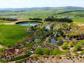 Mayfield Garden