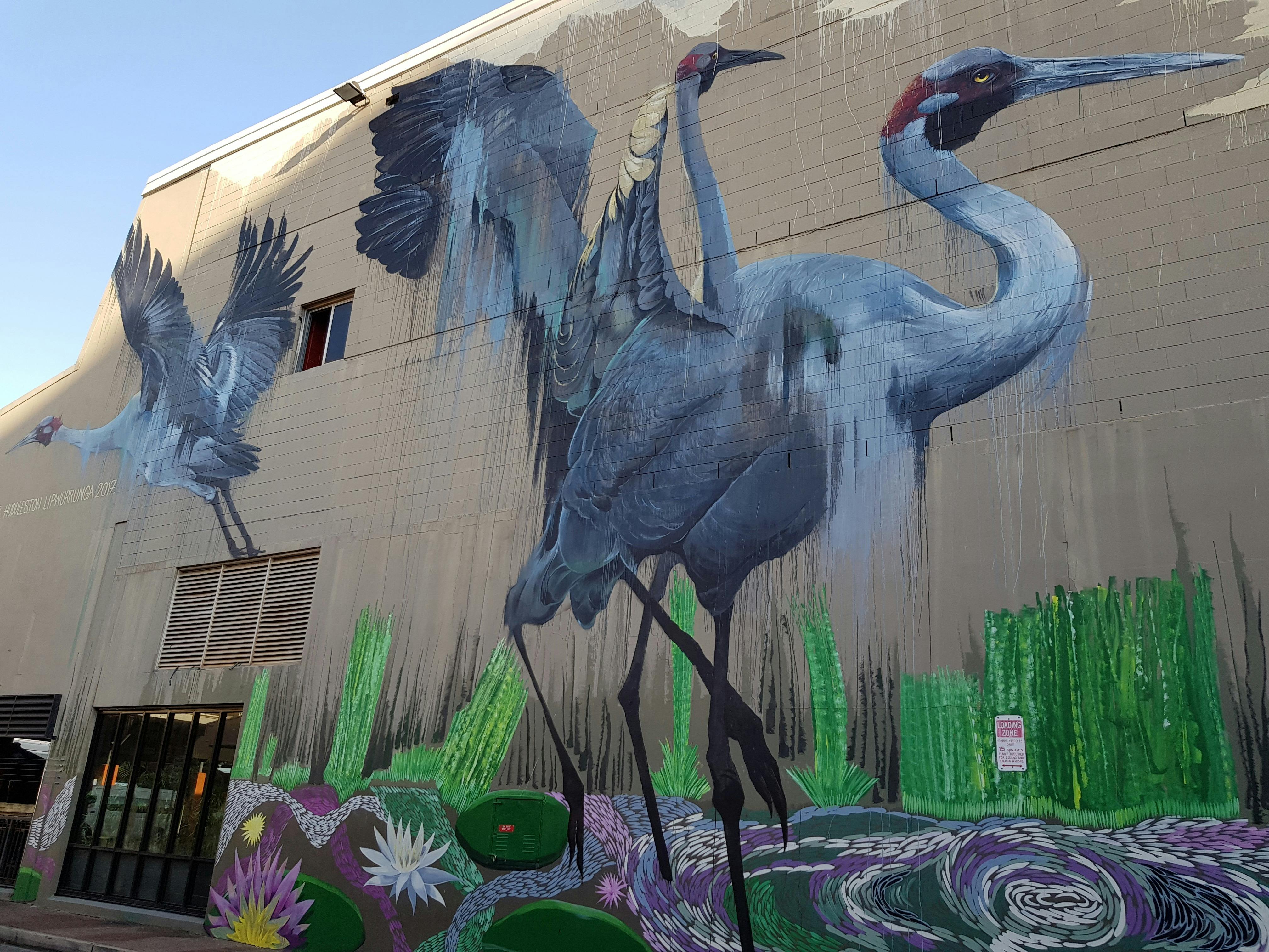 A mural of 3 grey brolga birds with wings outstretched painted on the side of a two-storey building
