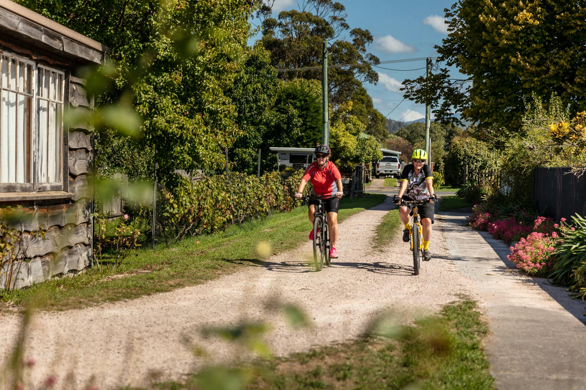 Two women on mountain bikes riding up the driveway.