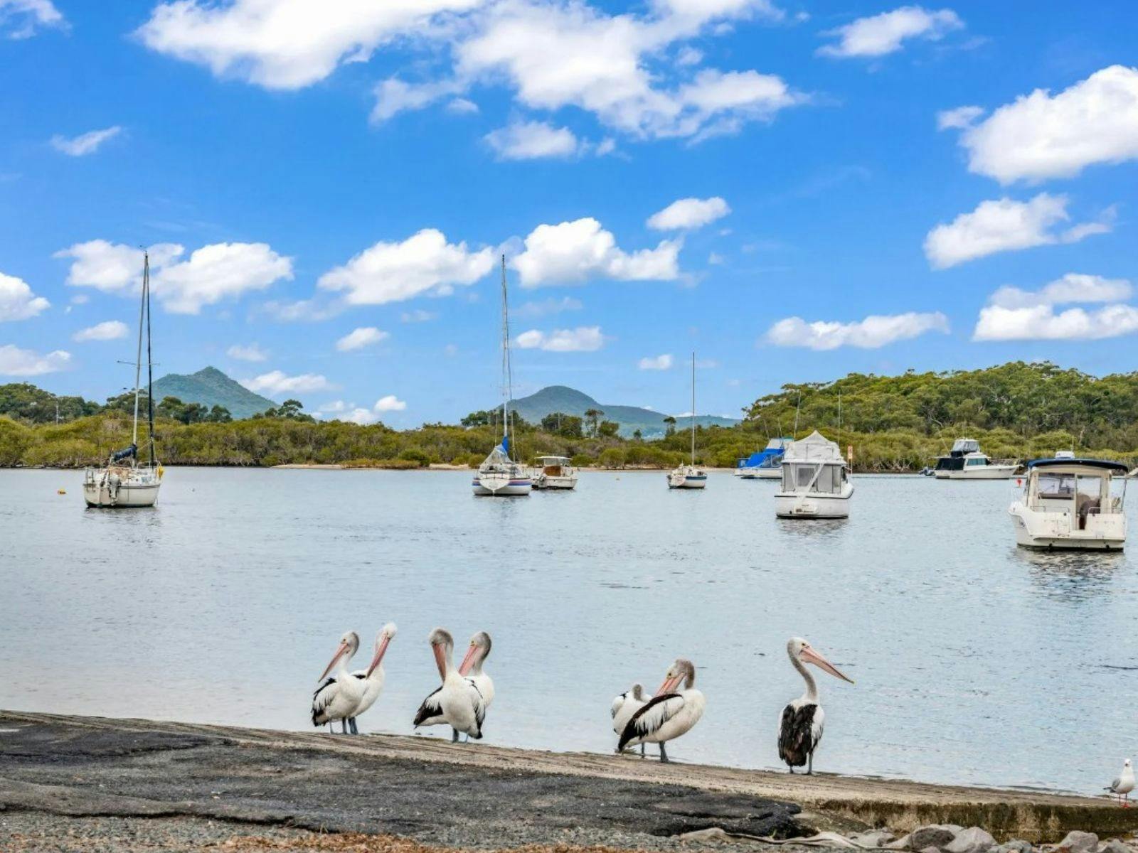 Tea Gardens Real Estate Holidays