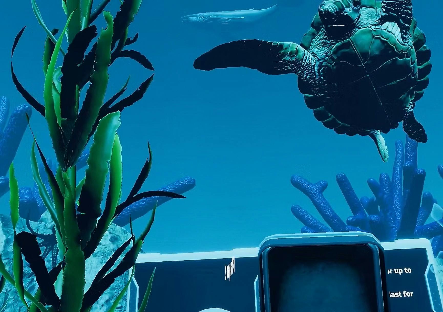 A scene from Reef Rangers VR experience showing a close-up of a turtle