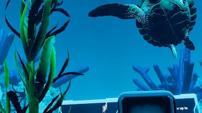 A scene from Reef Rangers VR experience showing a close-up of a turtle