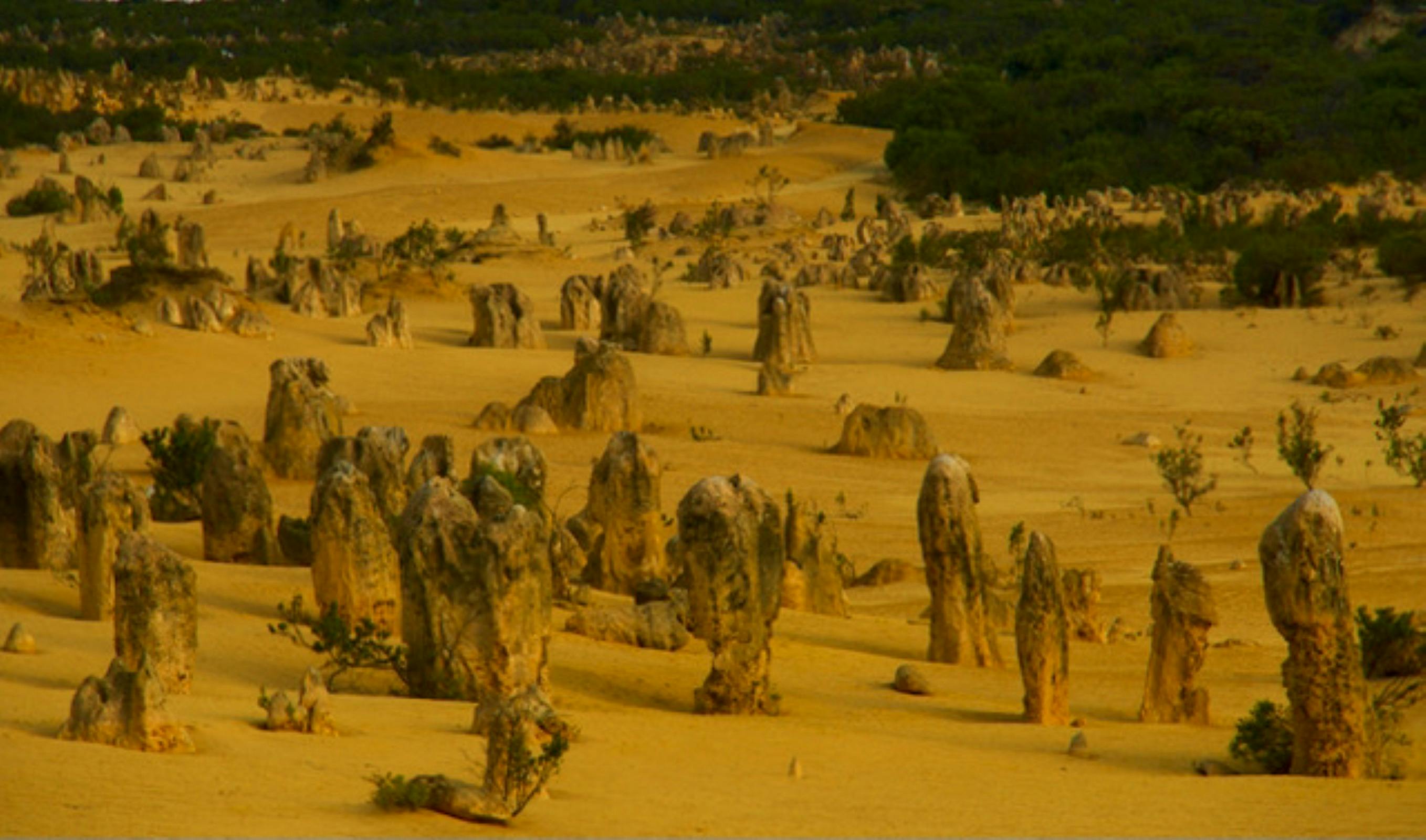 Ancient Limstone formations unearthed from desert sand dunes