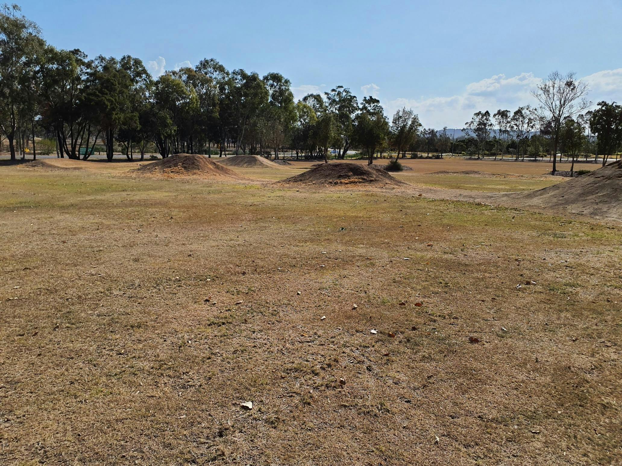 Henry Lawson Bicentennial Park
