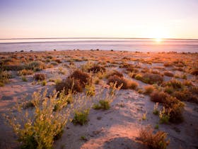 Sunrise at Kati Thanda-Lake Eyre National Park's Halligan Bay Point