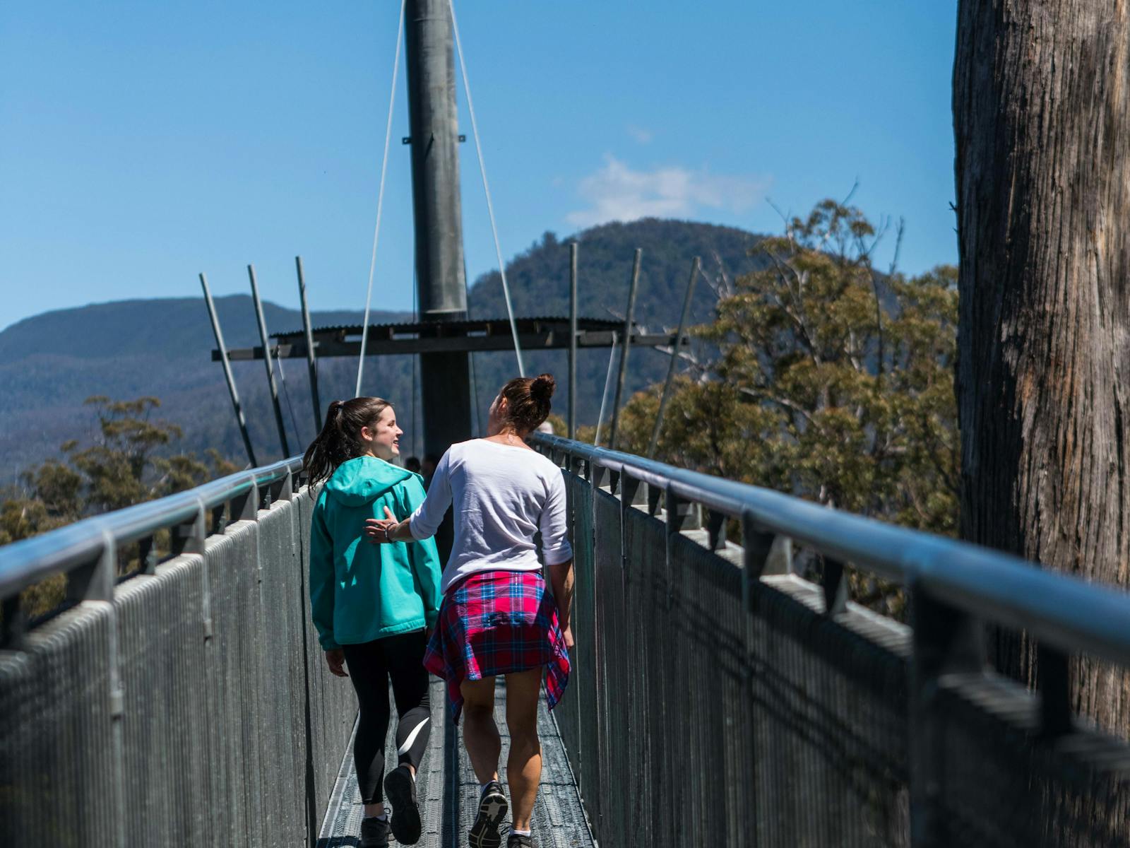 Tahune Adventures Tasmania walk way on the Airwalk 50 metres above the Huon River Tasmania