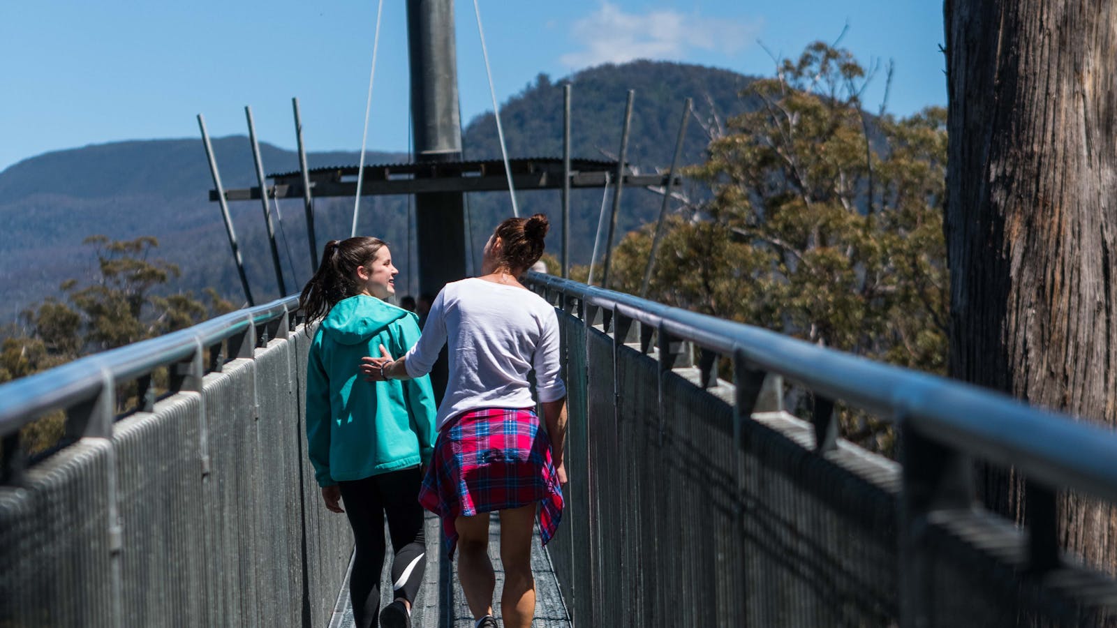 Airwalk walkway walking to the cantilever - Tahune Adventures Tasmania