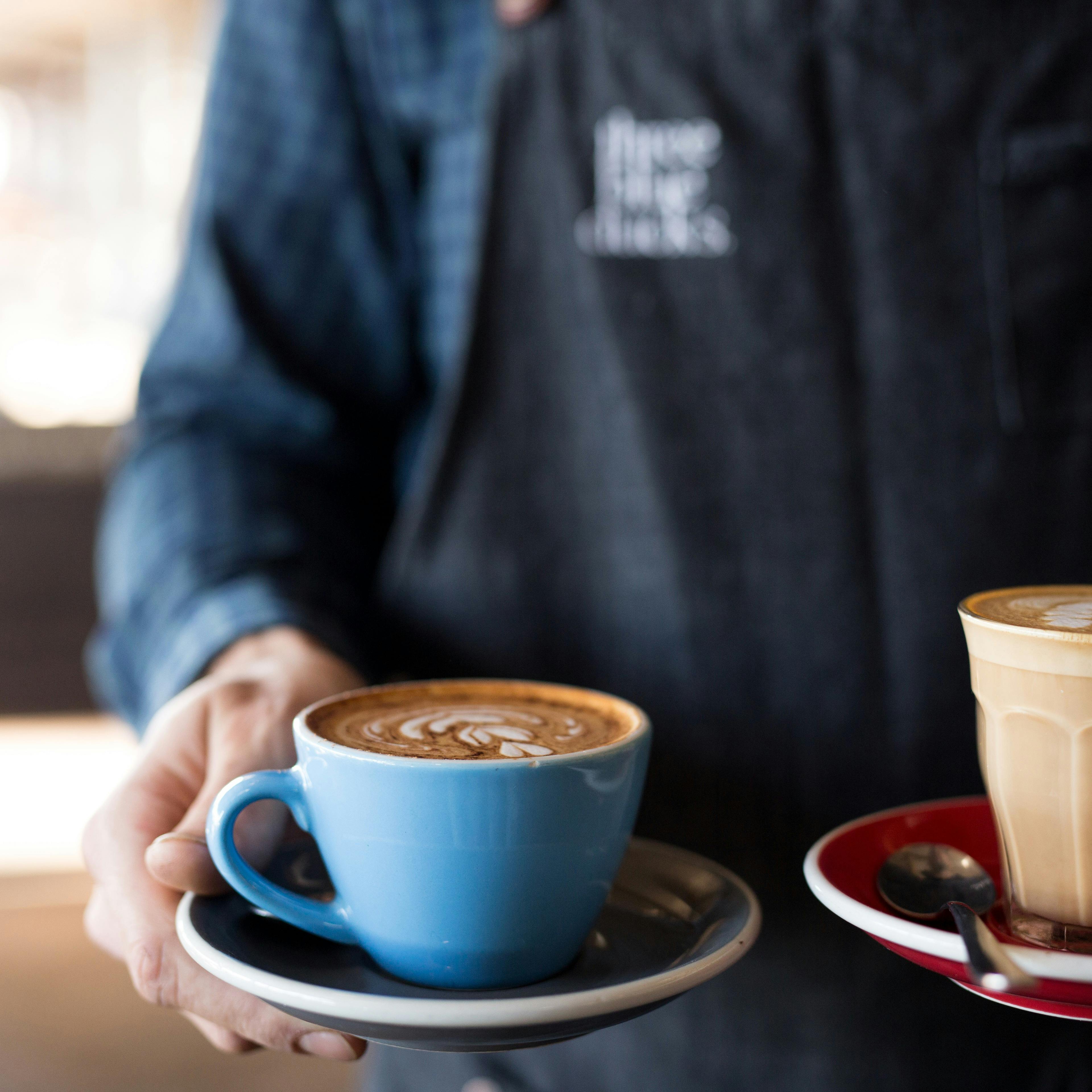 Three Blue Ducks Rosebery