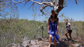 Greenant Creek / Tjaetabe Falls