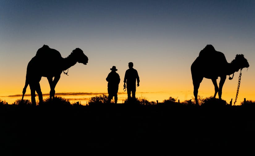 April 25th April 29th 2022 4Day 4Night Camel Trek