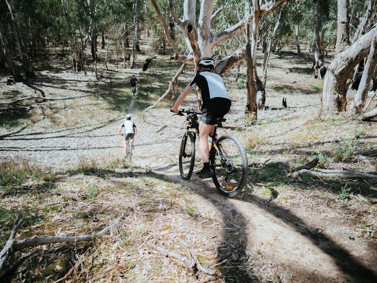 Free Mountain Bike Hire Deniliquin