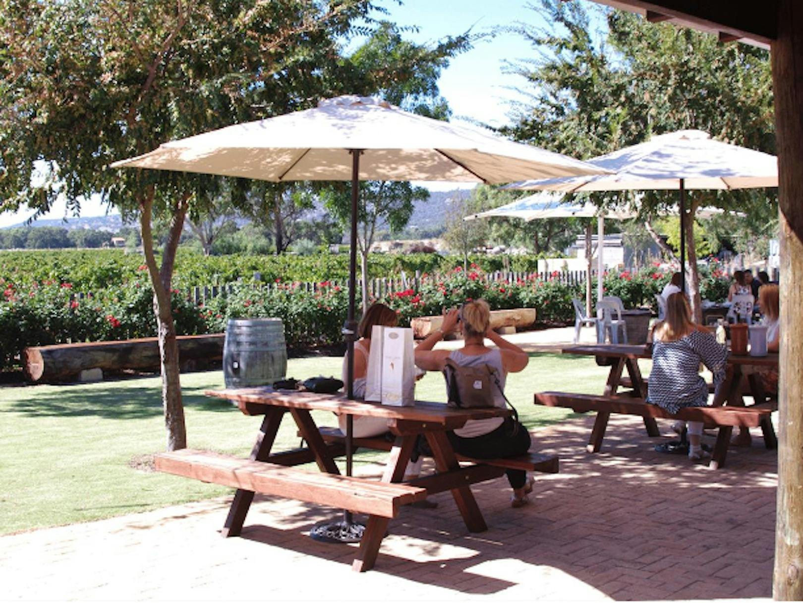 Windy Creek Estate Winery & Cellar Door