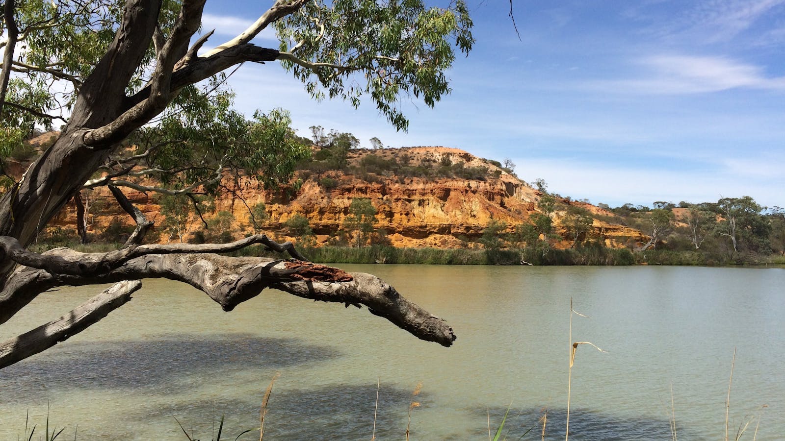Murray River National Park