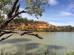 Murray River National Park