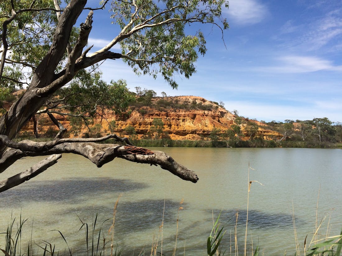 Murray River National Park - Glossop, Attraction | South Australia