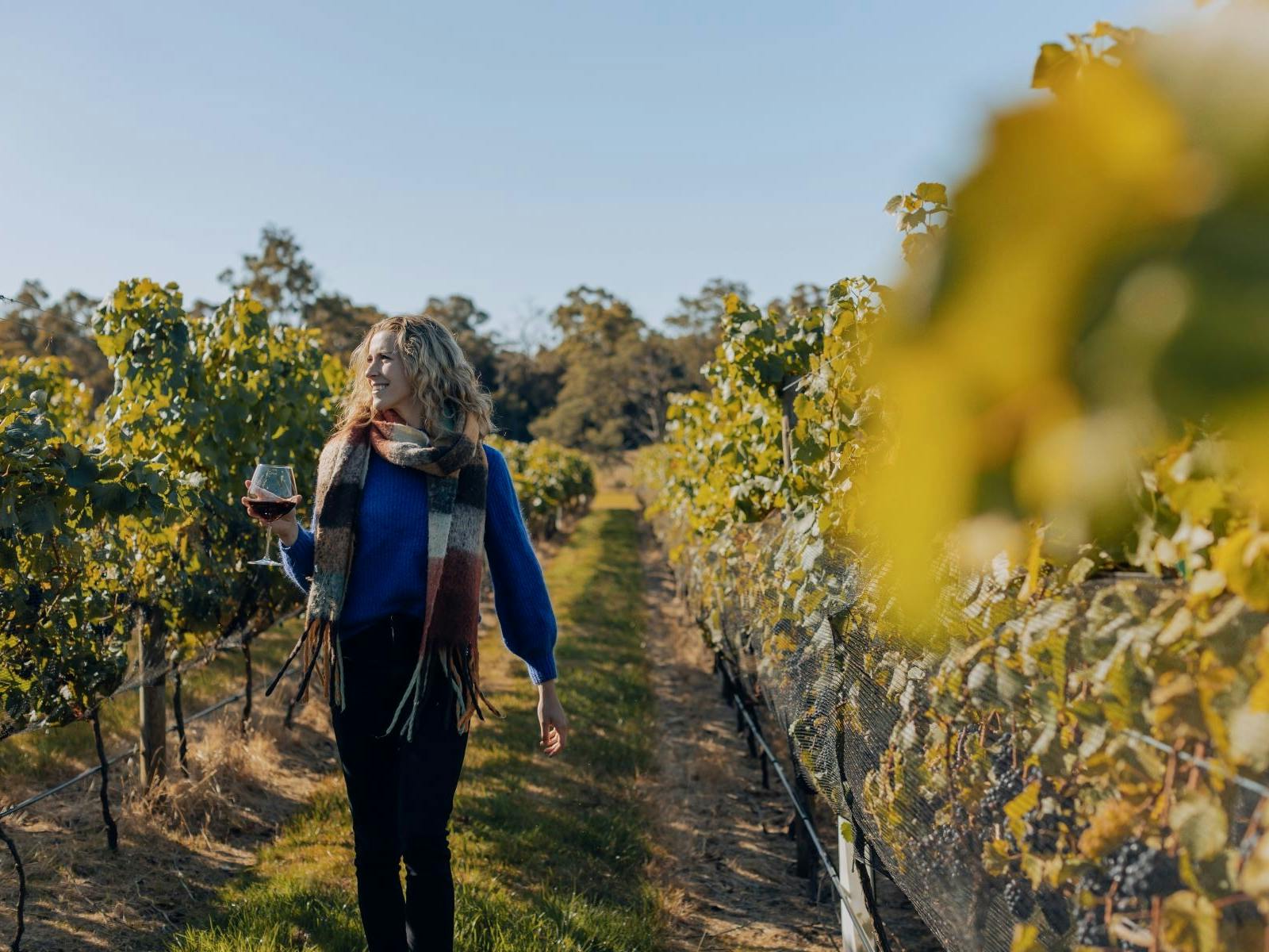 Woman walking through vineyard