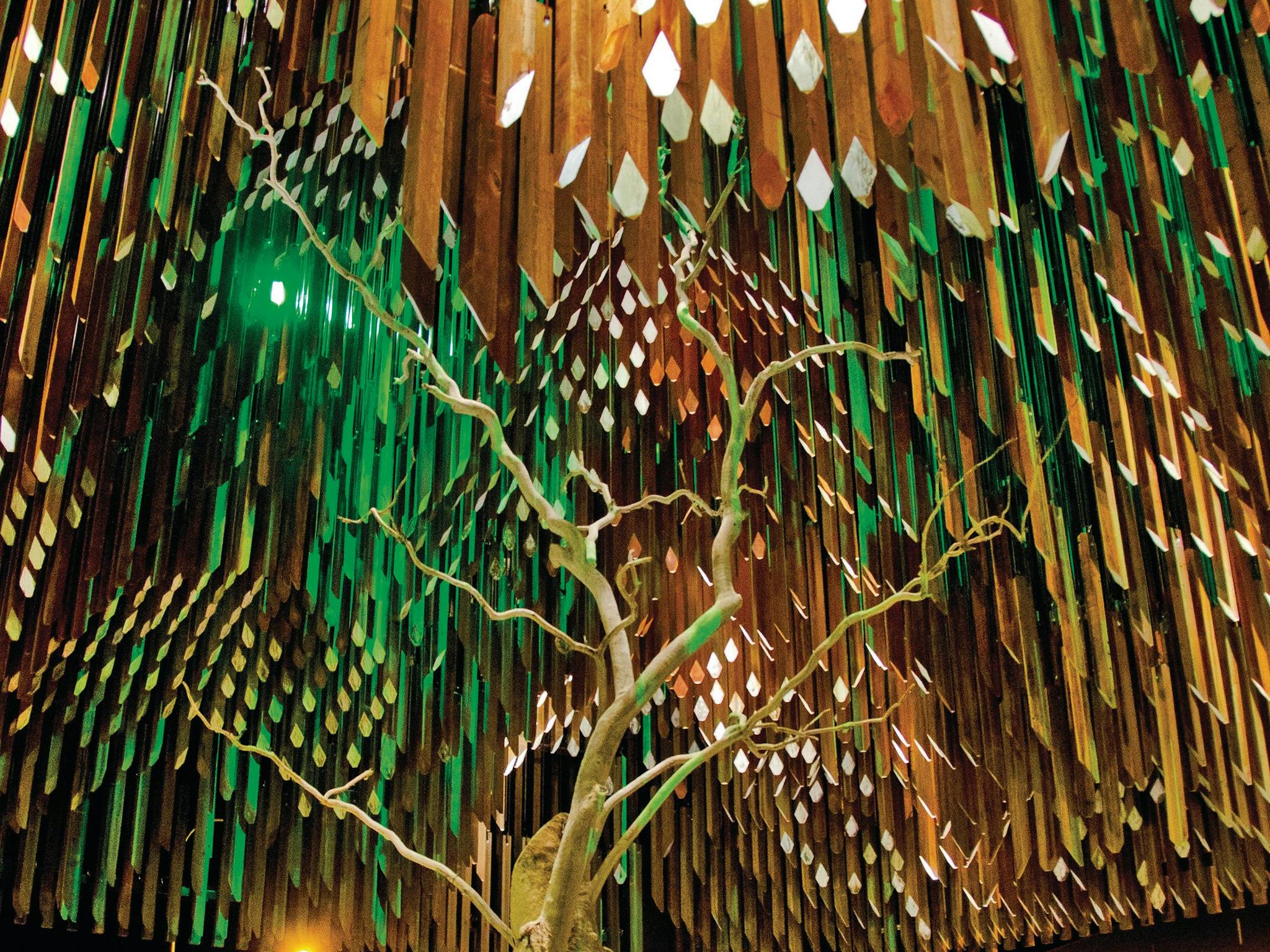 Barcaldine Tree of Knowledge Barcaldine Tree of Knowledge