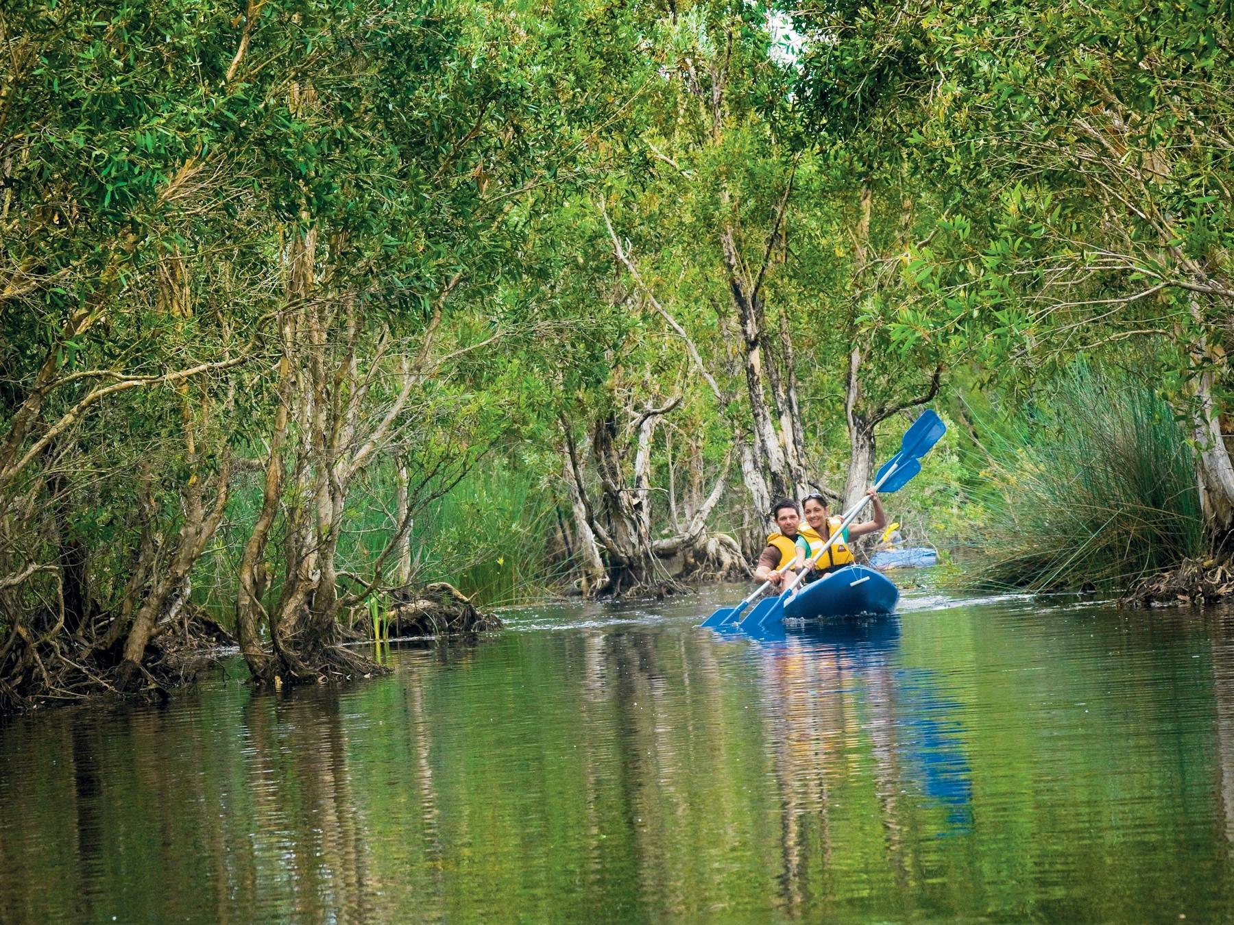 Two people Kayaking along Deepwater Creek