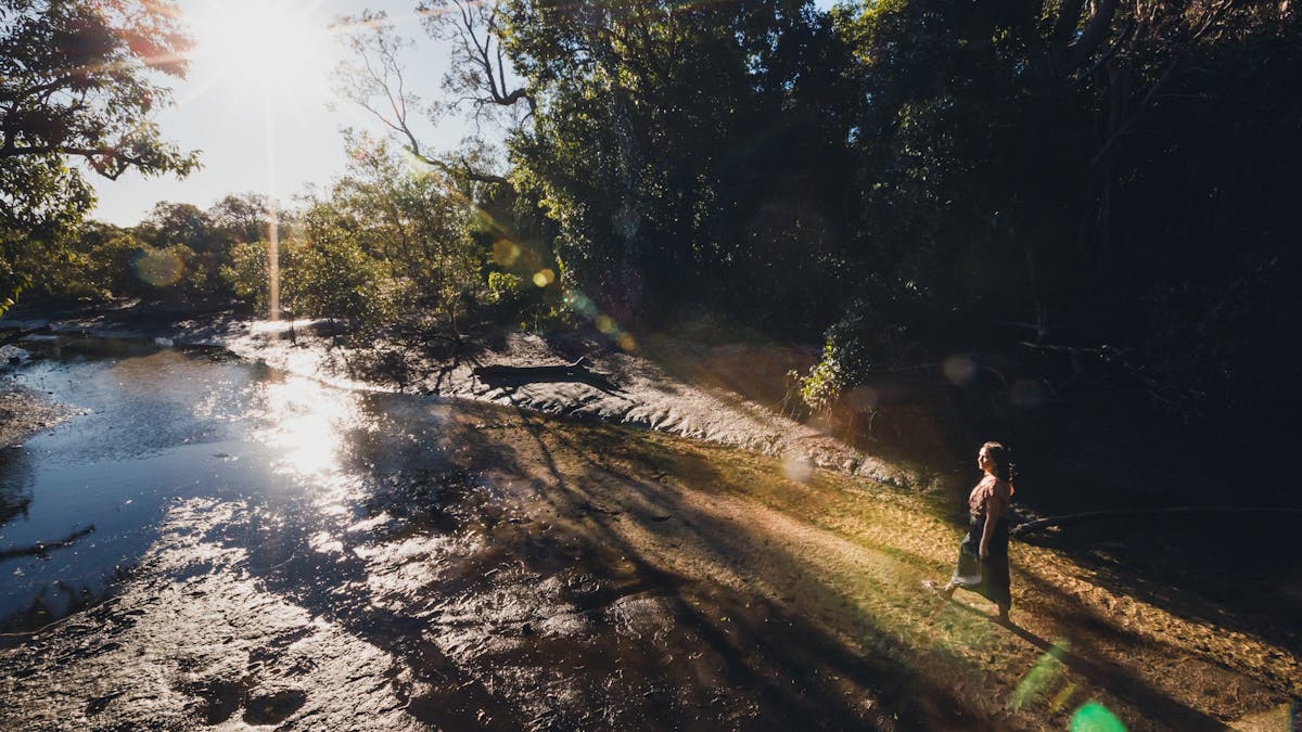 Myora Springs (Capeembah)