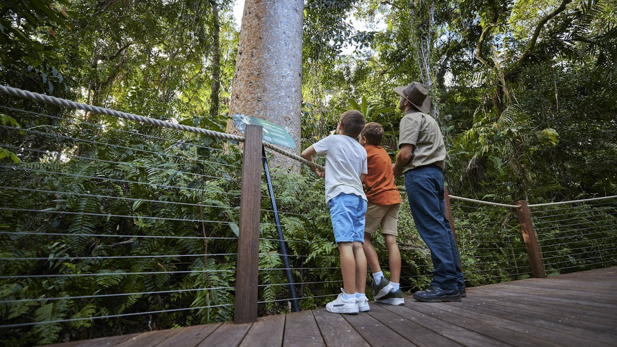 Discovering ancient plants and animals on a Ranger Guided Tour at Red Peak
