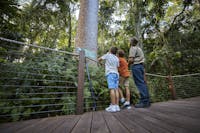 Discovering ancient plants and animals on a Ranger Guided Tour at Red Peak