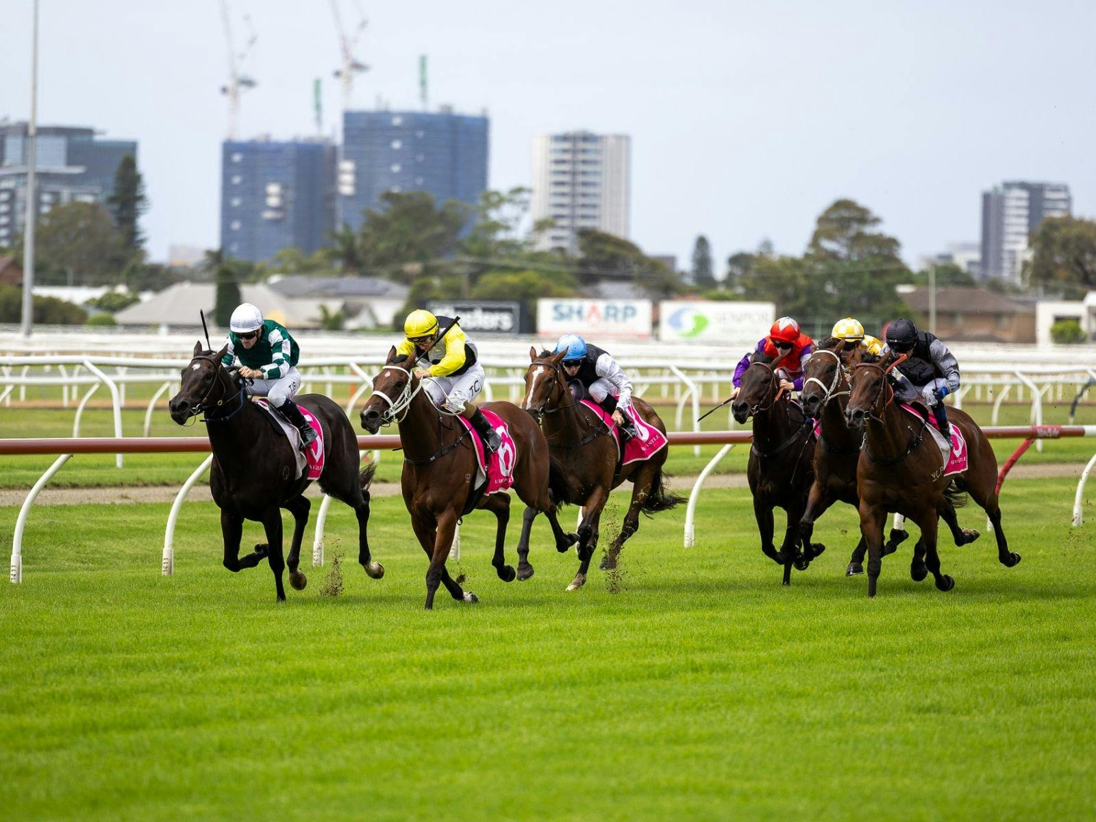 Racing at Newcastle Racecourse for Newcastle Stakes