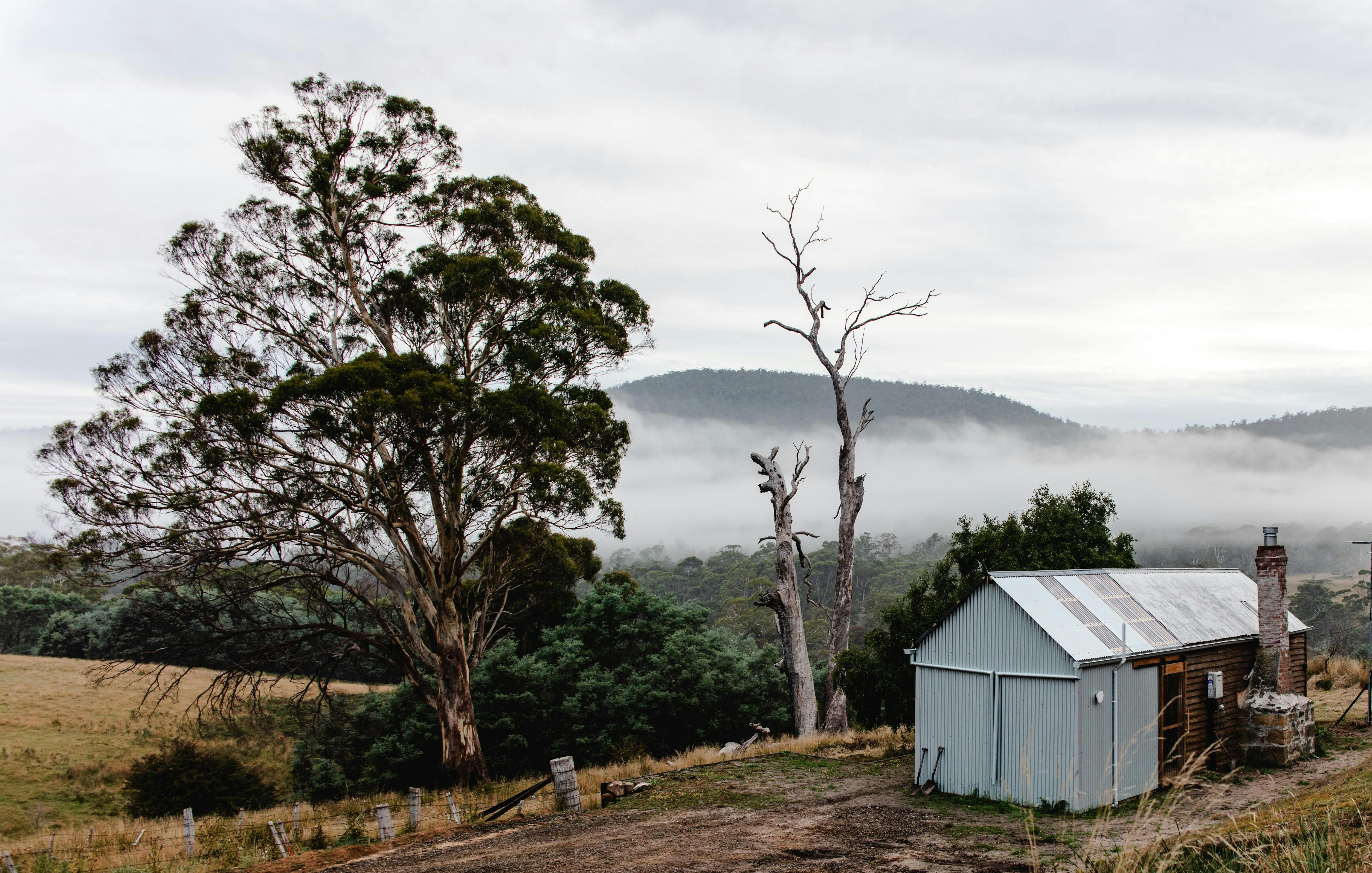 Shearers Hut