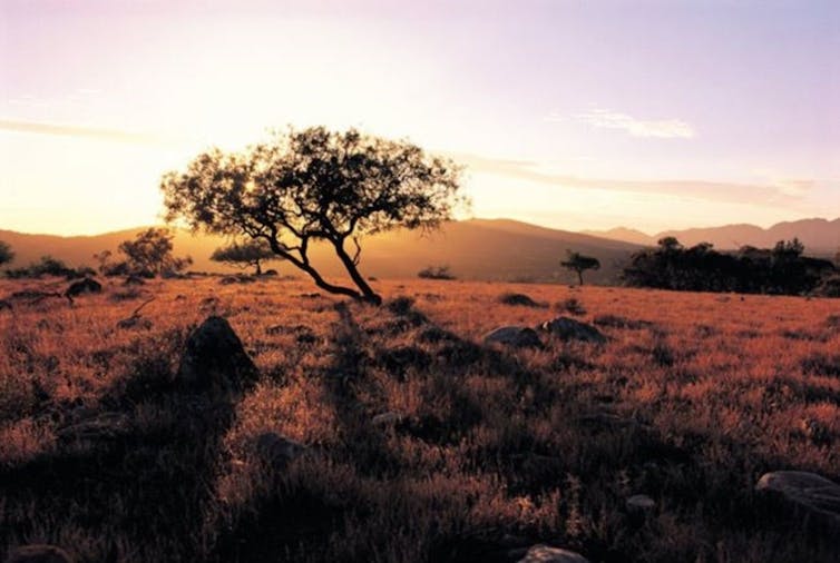 Coober Pedy, Lake Eyre, Flinders Ranges – 7 Day Small Group 4WD Safari