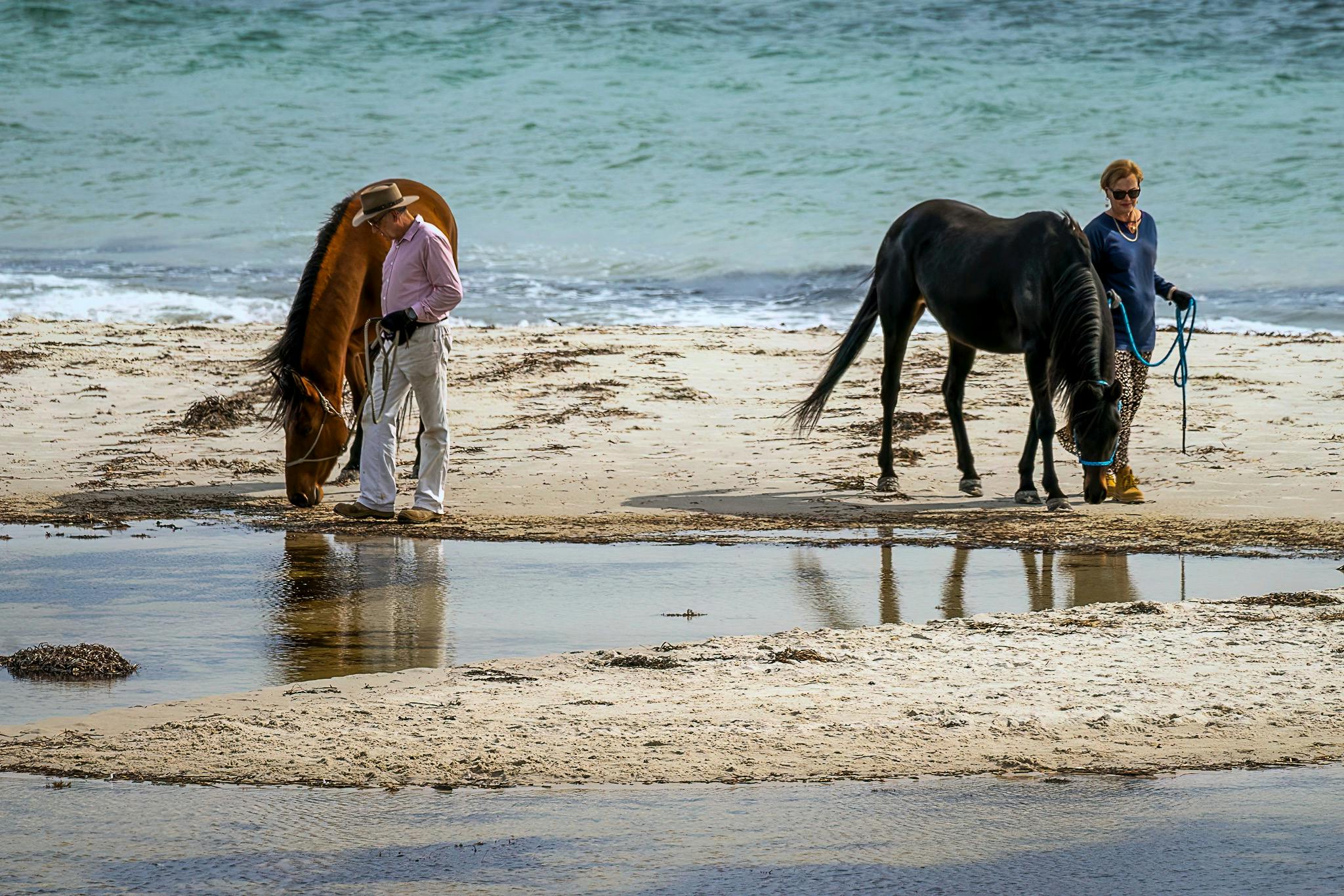 Sublime Beach Walks at pristine Normanville Beach on the Fleurieu Peninsula, South Australia