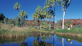 Finke Gorge National Park
