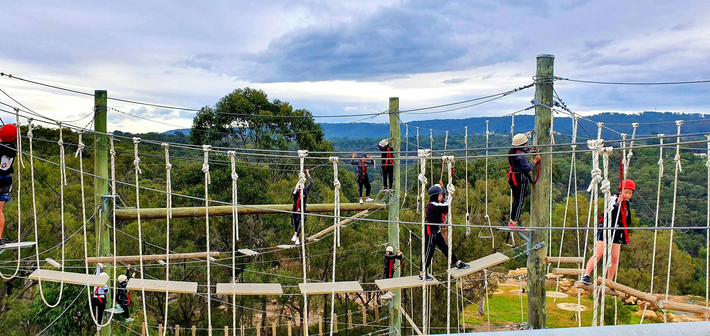 3 tiered high ropes course
