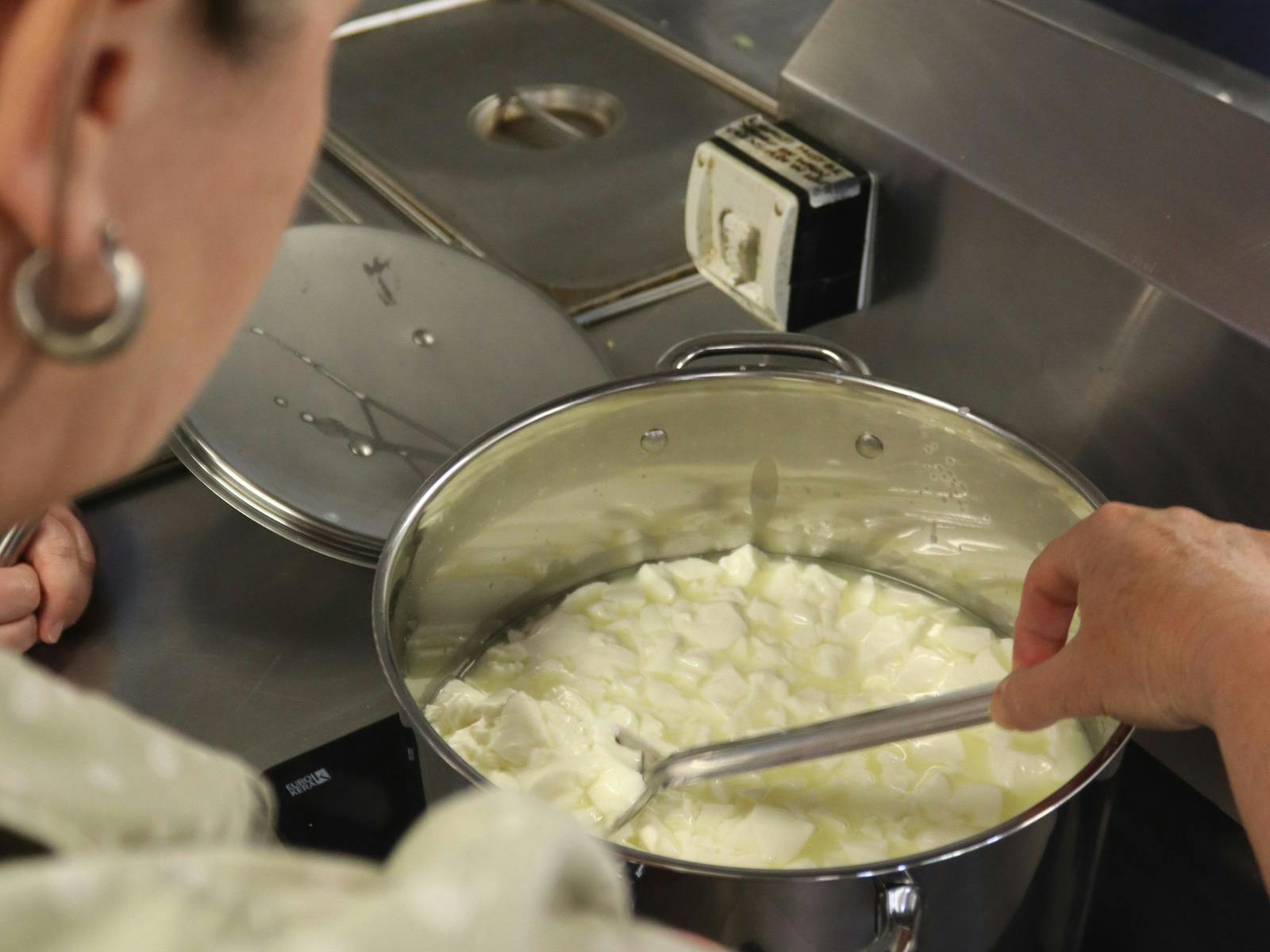 A student checks the sliced curd as part of a cheesemaking workshop at CERES