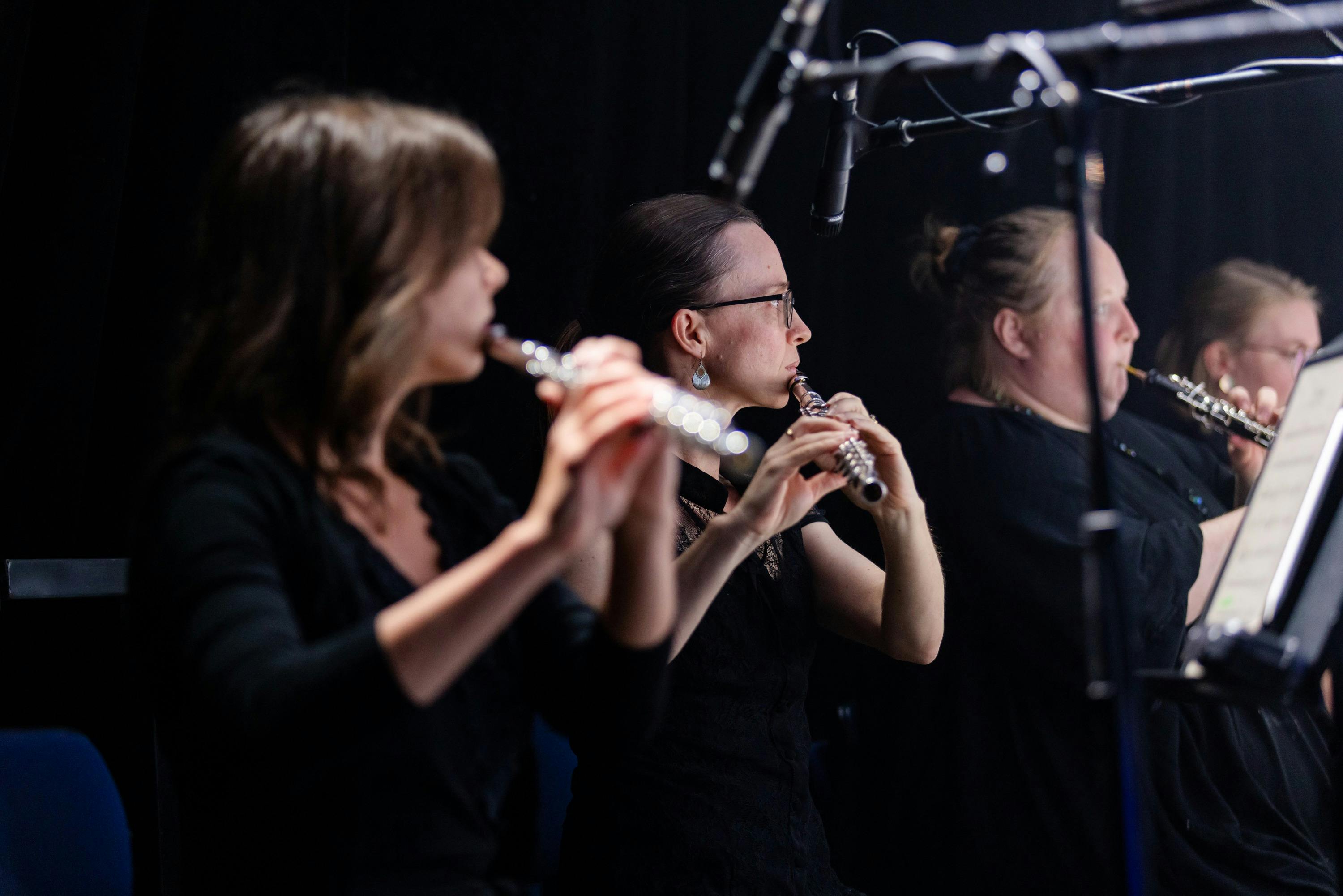 Musicians on stage performing for Symphony in the Park