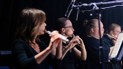 Musicians on stage performing for Symphony in the Park