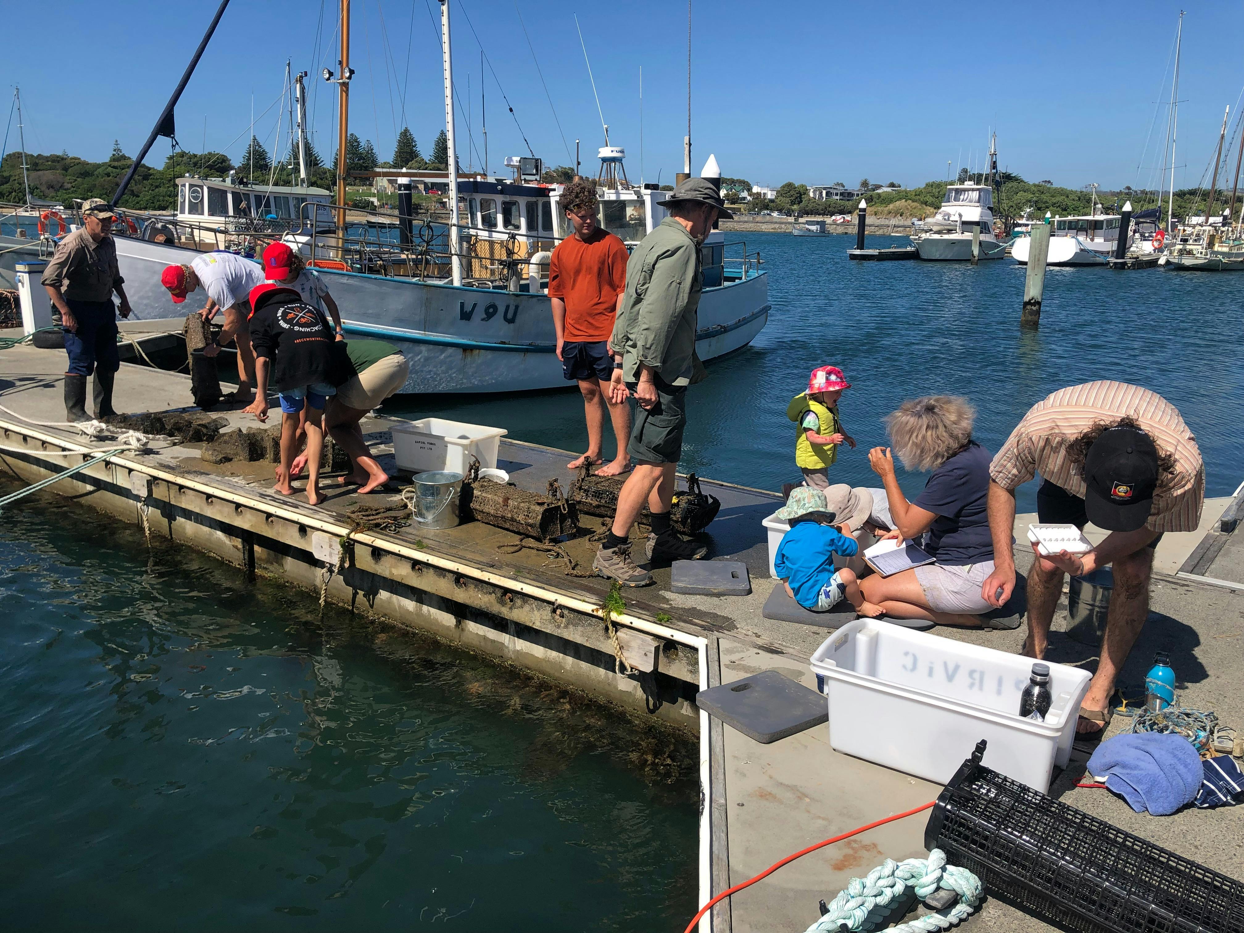 Puerulus Monitoring
