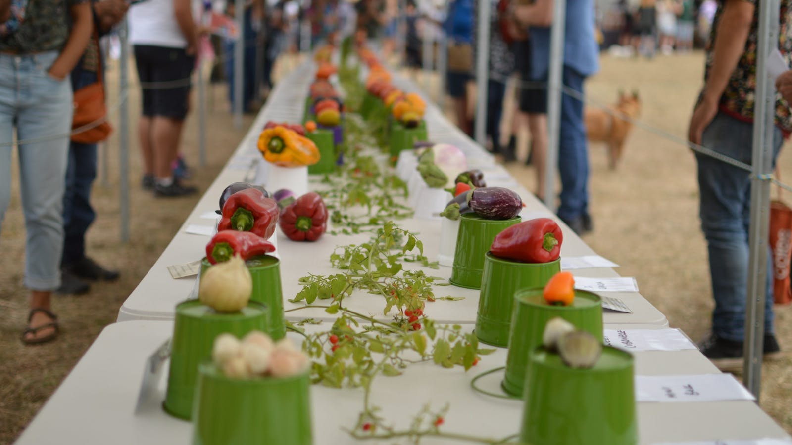 Image for Tasmanian Garlic & Tomato Festival