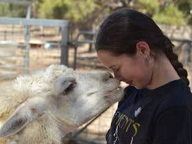 NDIS Accessible Adventure Program - Yorke Peninsula