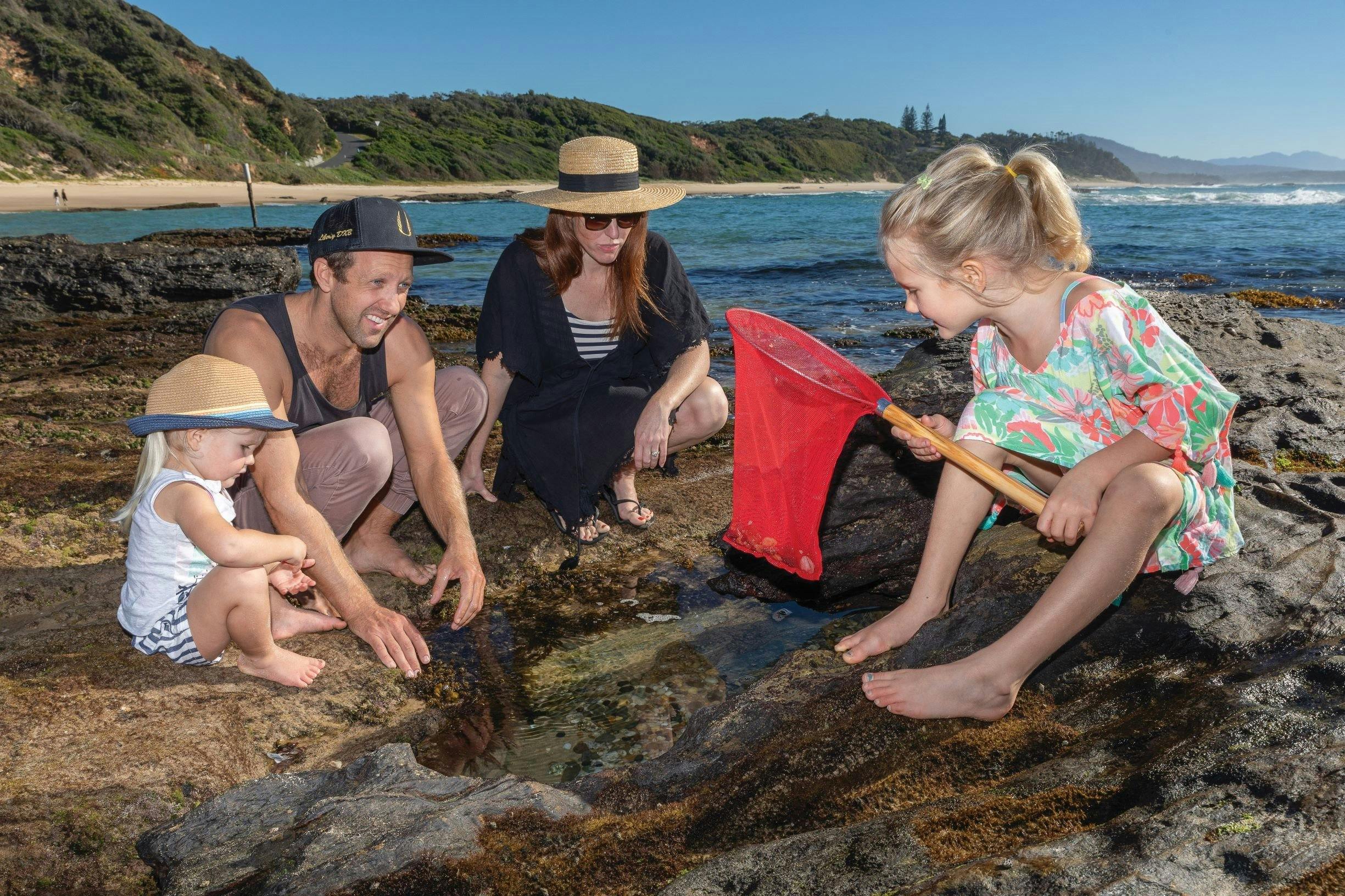Young family exploring the rock pools at Shelly Beach