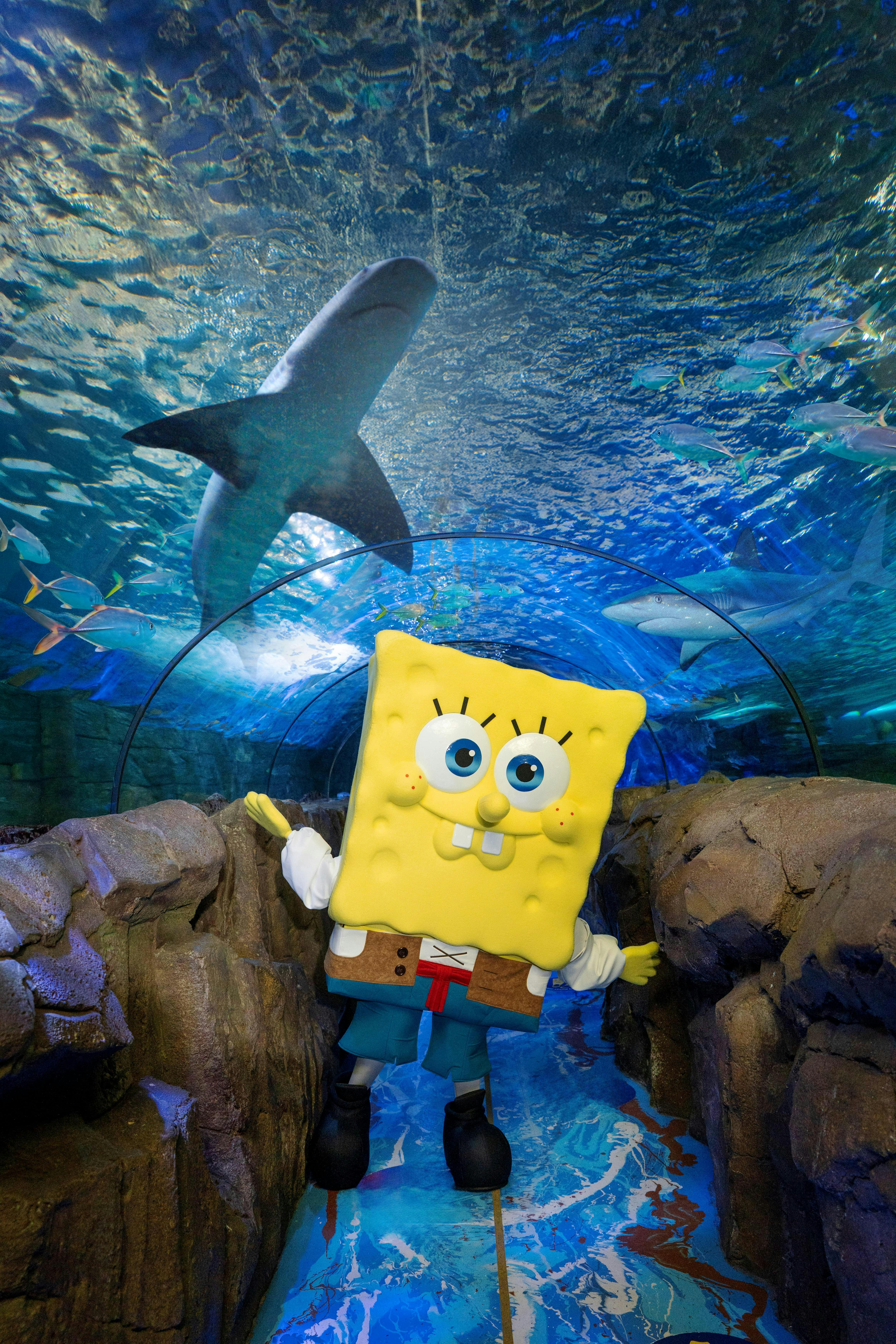 SpongeBob SquarePants at SEA LIFE Sydney