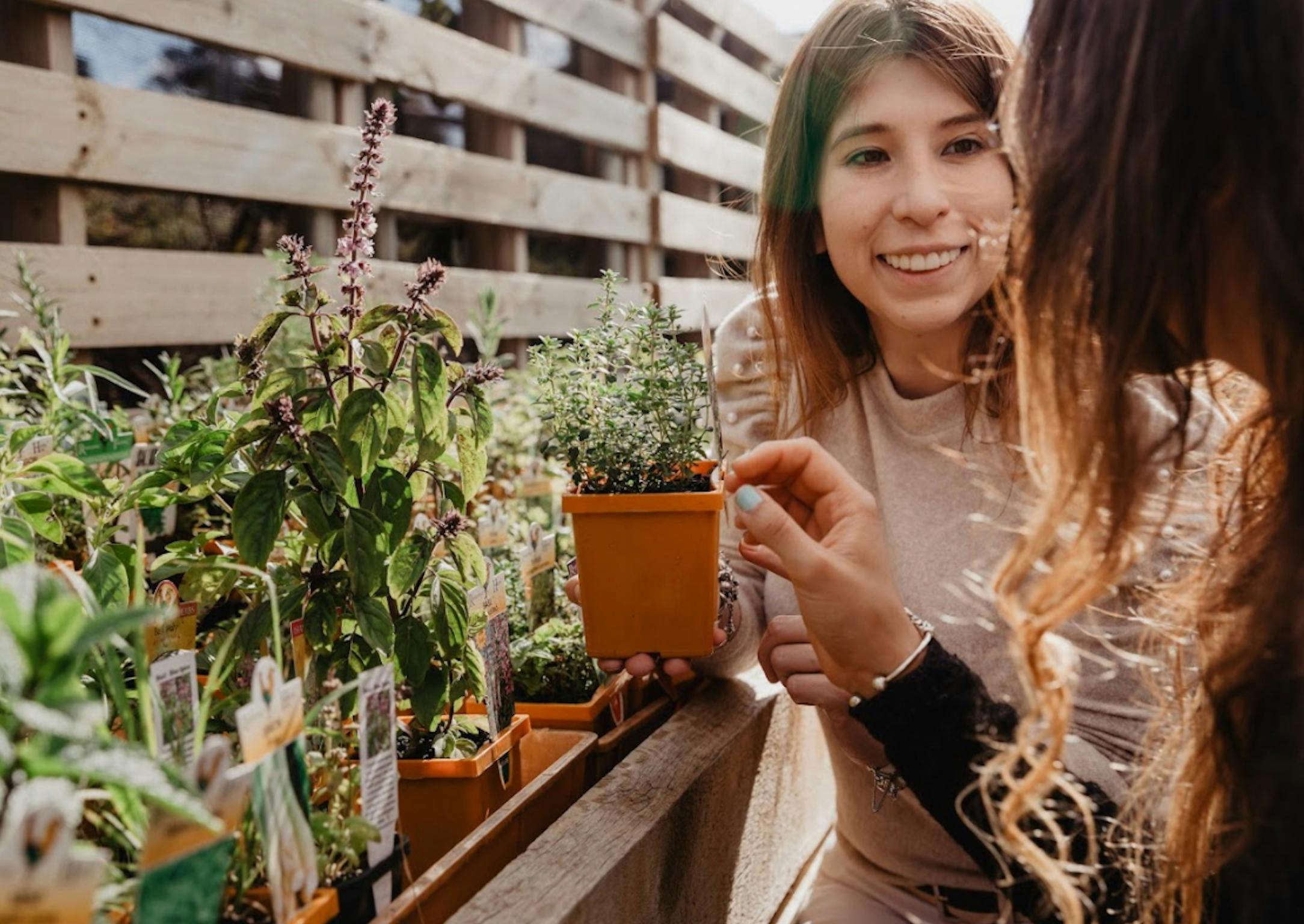 Farmgate Experience - Mornington Peninsula