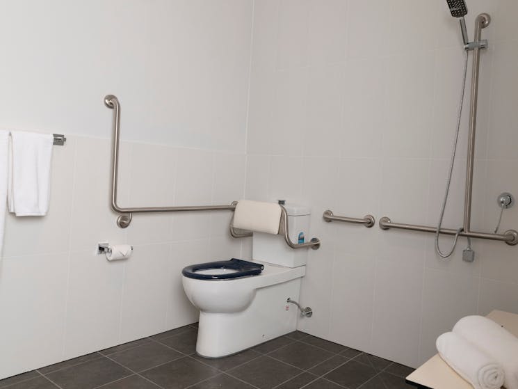 Accessible-Bathroom-Railings-Low-Toilet