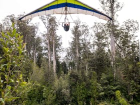 Tahune Adventures Eagle Hang Glider - Fly high in the sky, birds eye view of the forest.