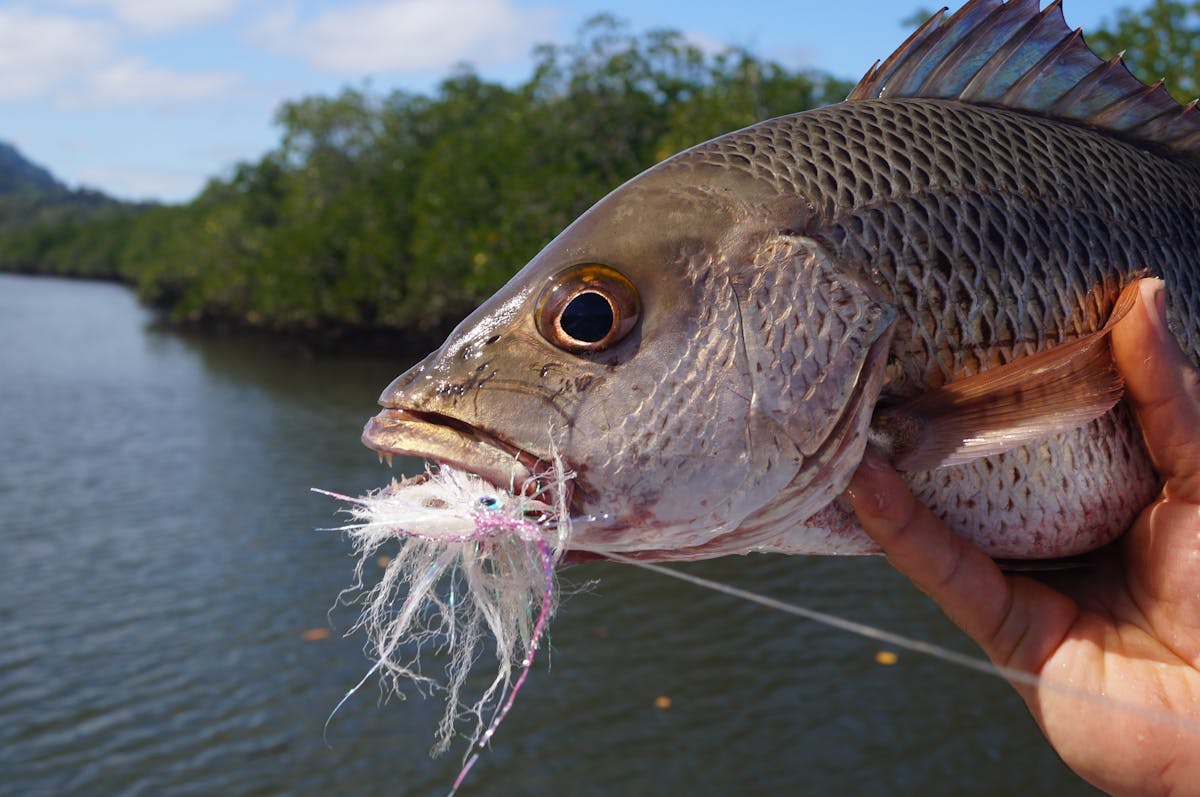 river and estuary fishing