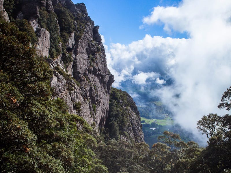 A view from Mount Roland face track