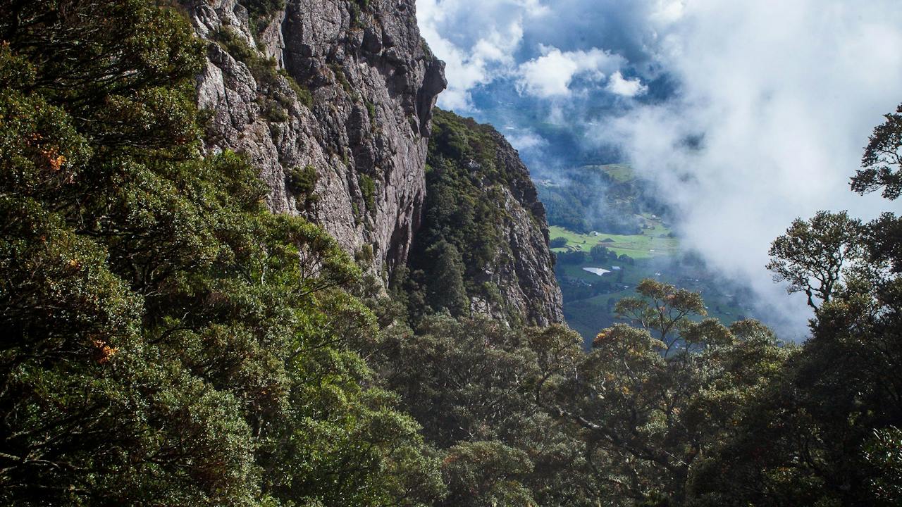 A view from Mount Roland face track