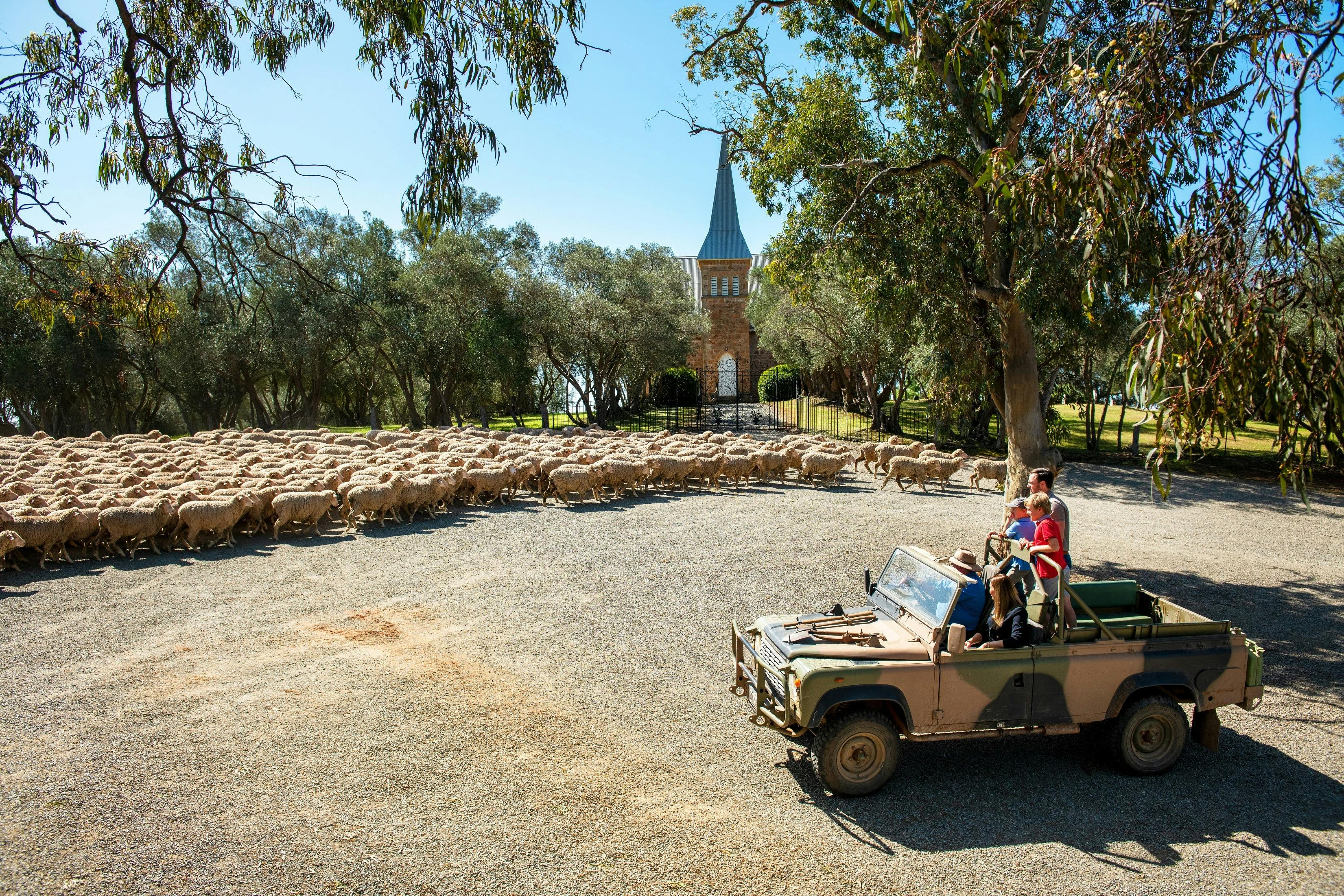 "Behind the Farm Gate" Private Tour - Bungaree Station